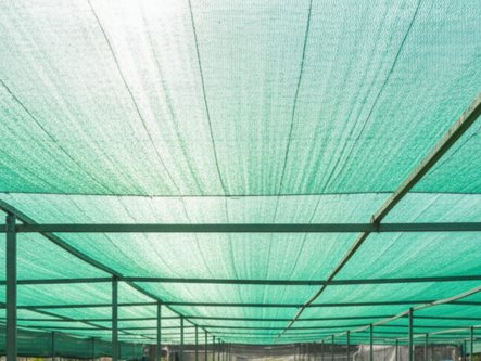 Professional Shade Net Installation Process - Swarupa Enterprises
